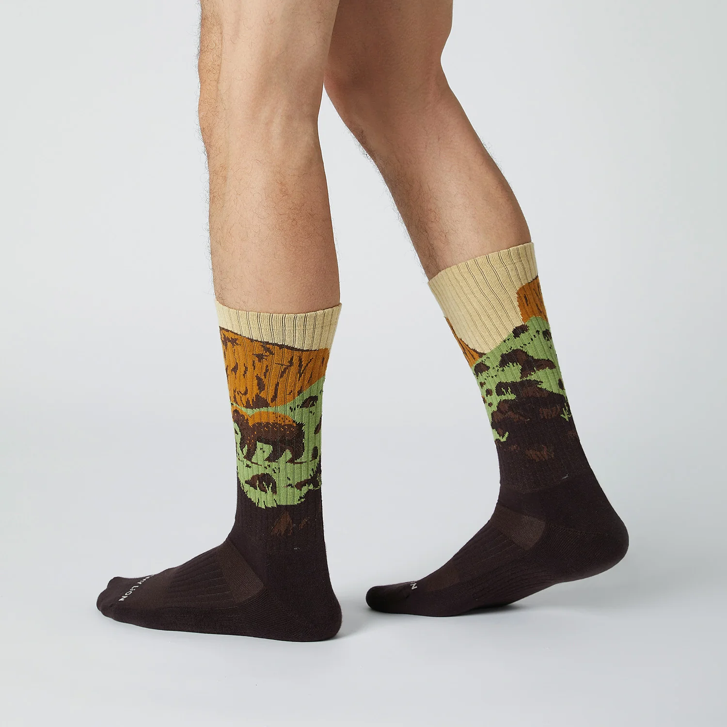 Athletic Bear Rock - Dark Brown - Image 2