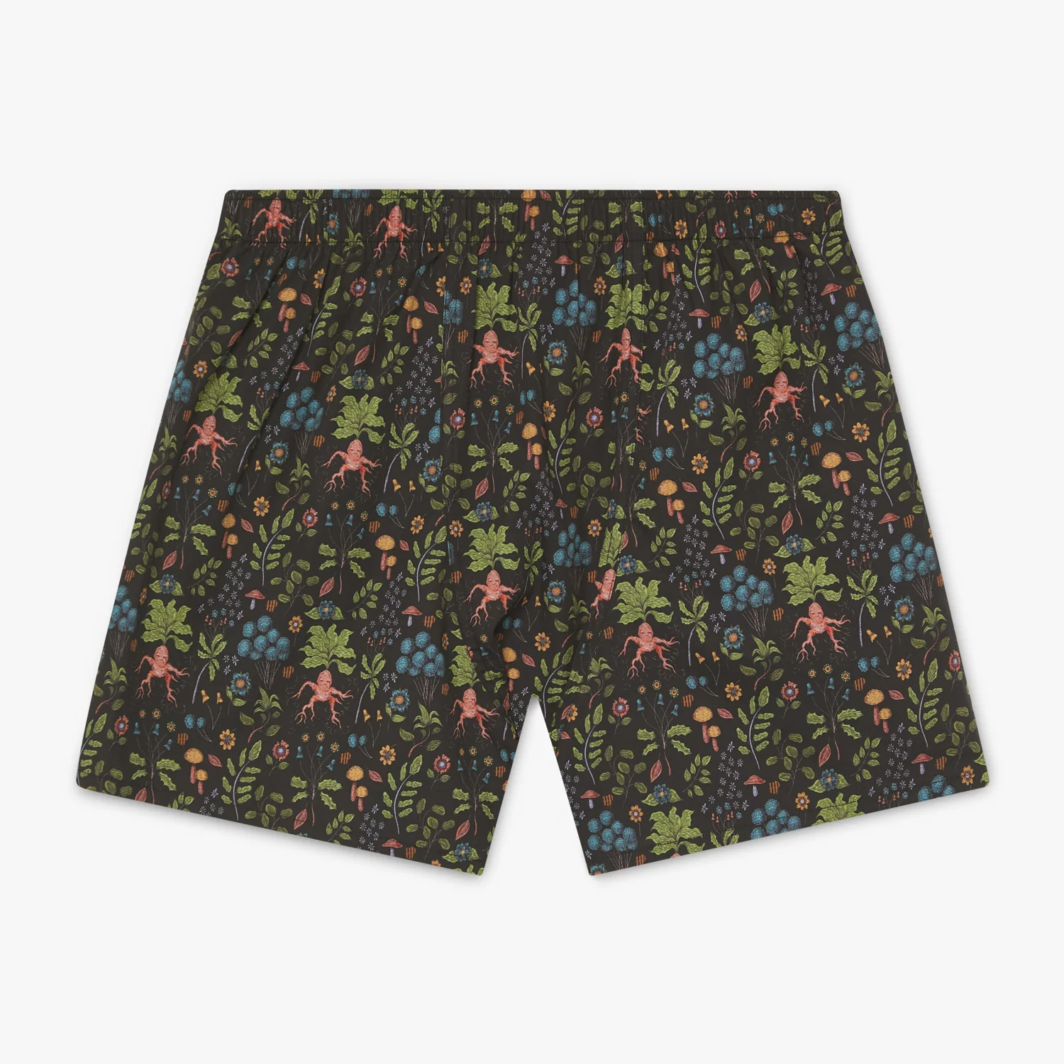 Herbology Boxer Shorts & Socks Bundle - Various - Image 3