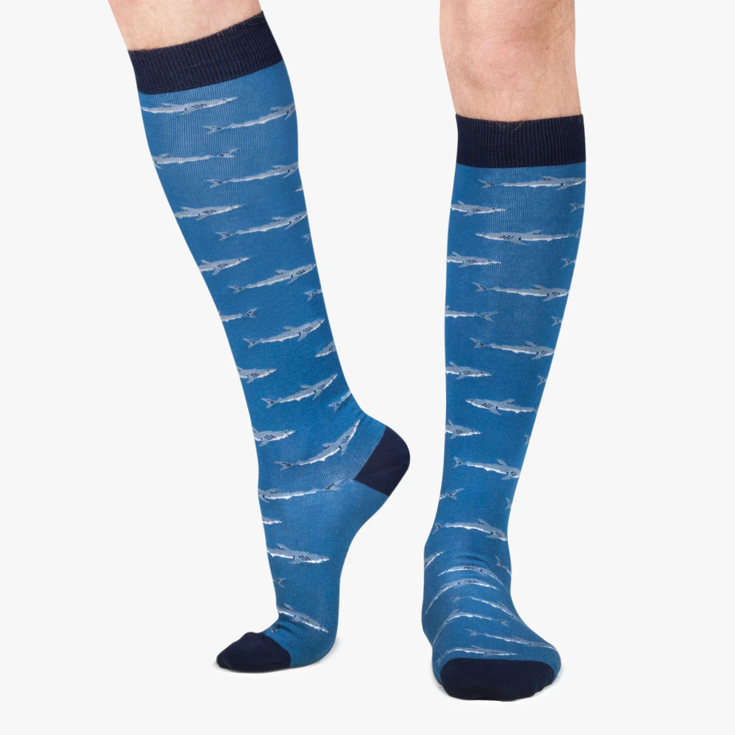 KH Sharks - Blue - Image 2