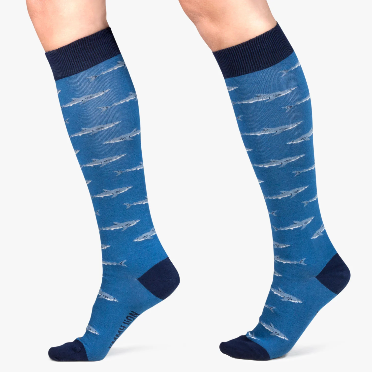 KH Sharks - Blue - Image 3