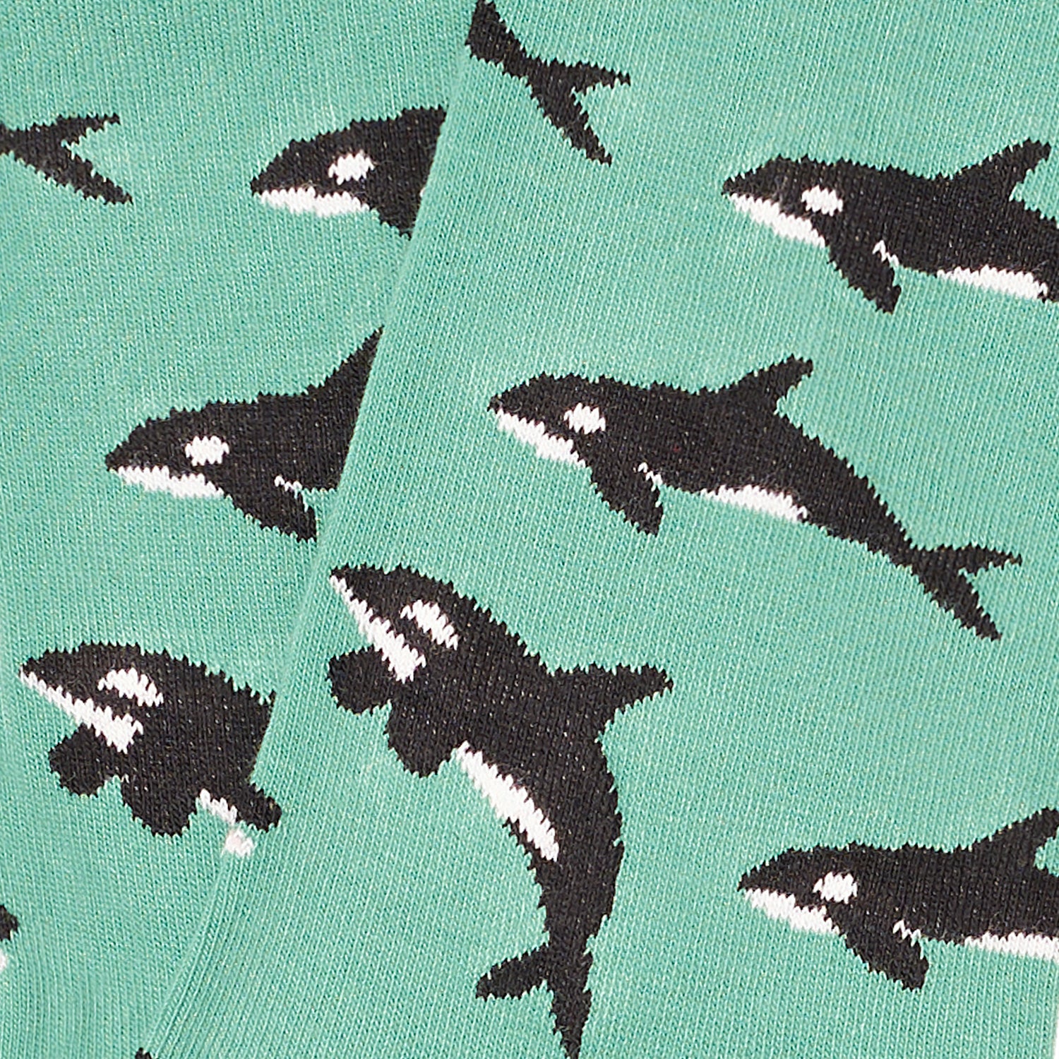 Killer Whales - Turquoise - Image 4