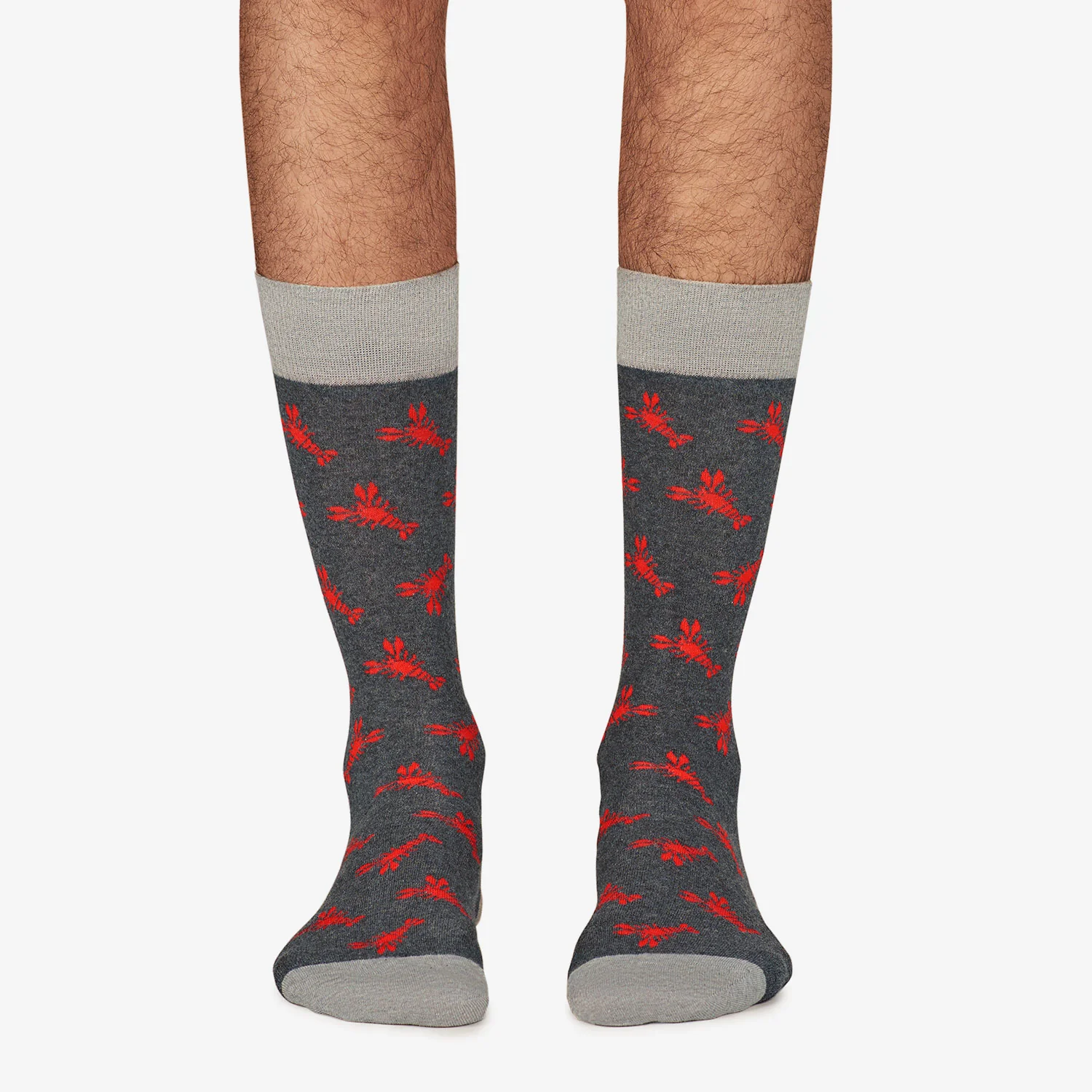 Lobster - Dark Grey - Image 2