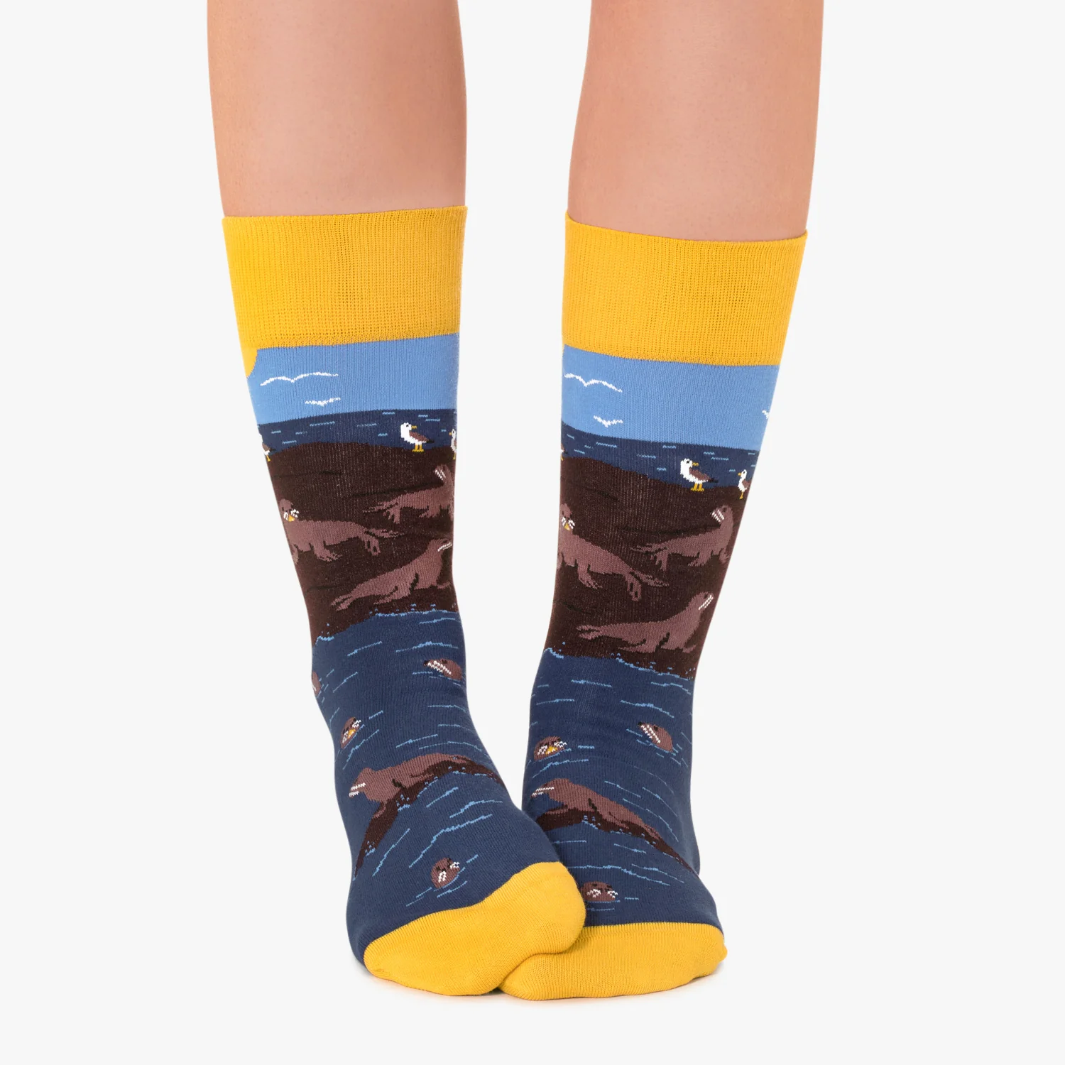 Seal Island - Dark Blue - Image 3