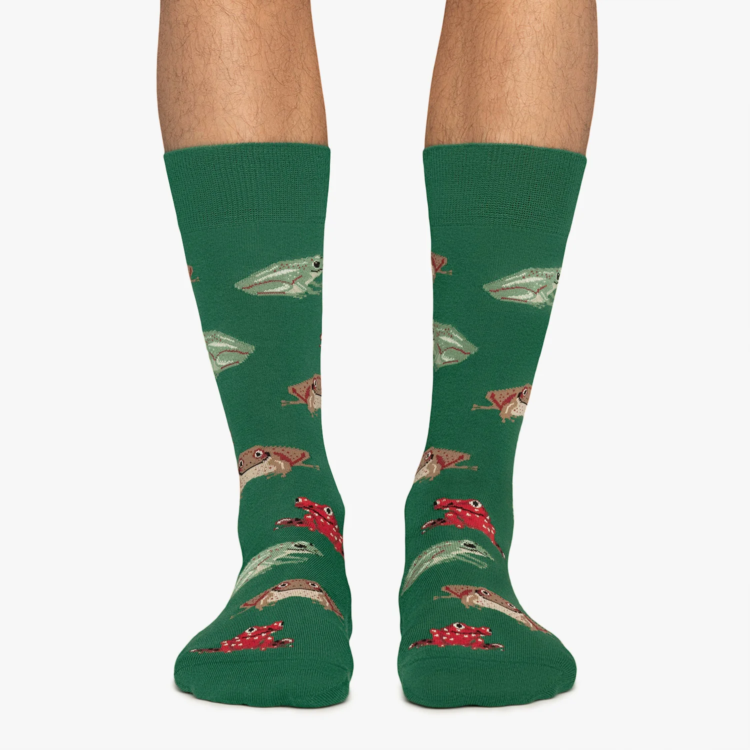 Frogs - Green - Image 2