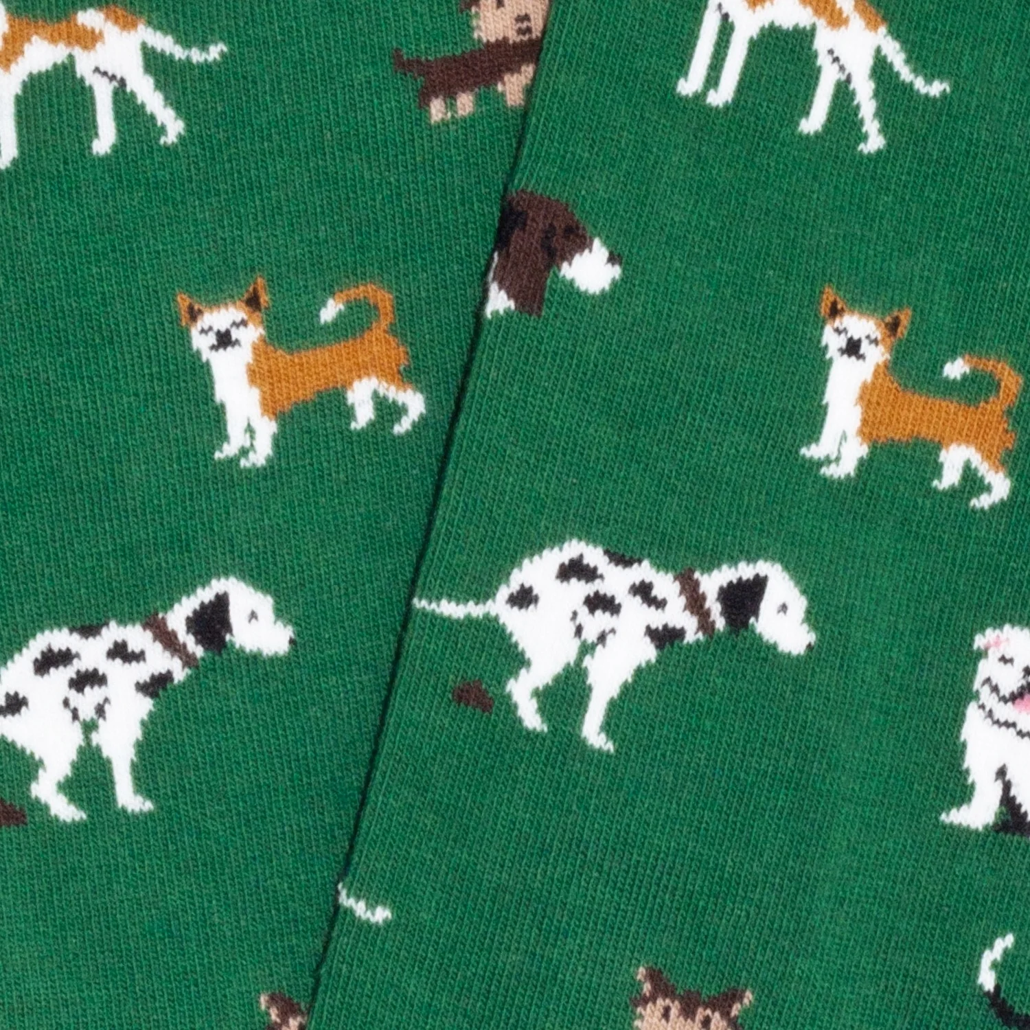 KH Dogs - Green - Image 4