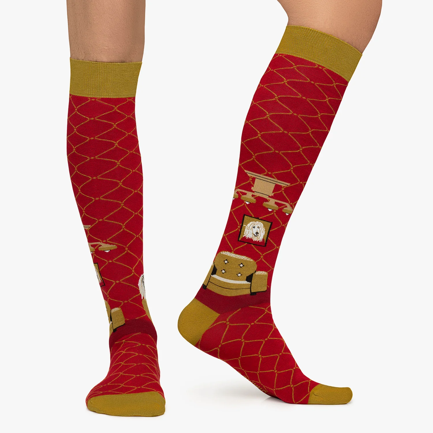 KH Intellectual - Red - Image 2