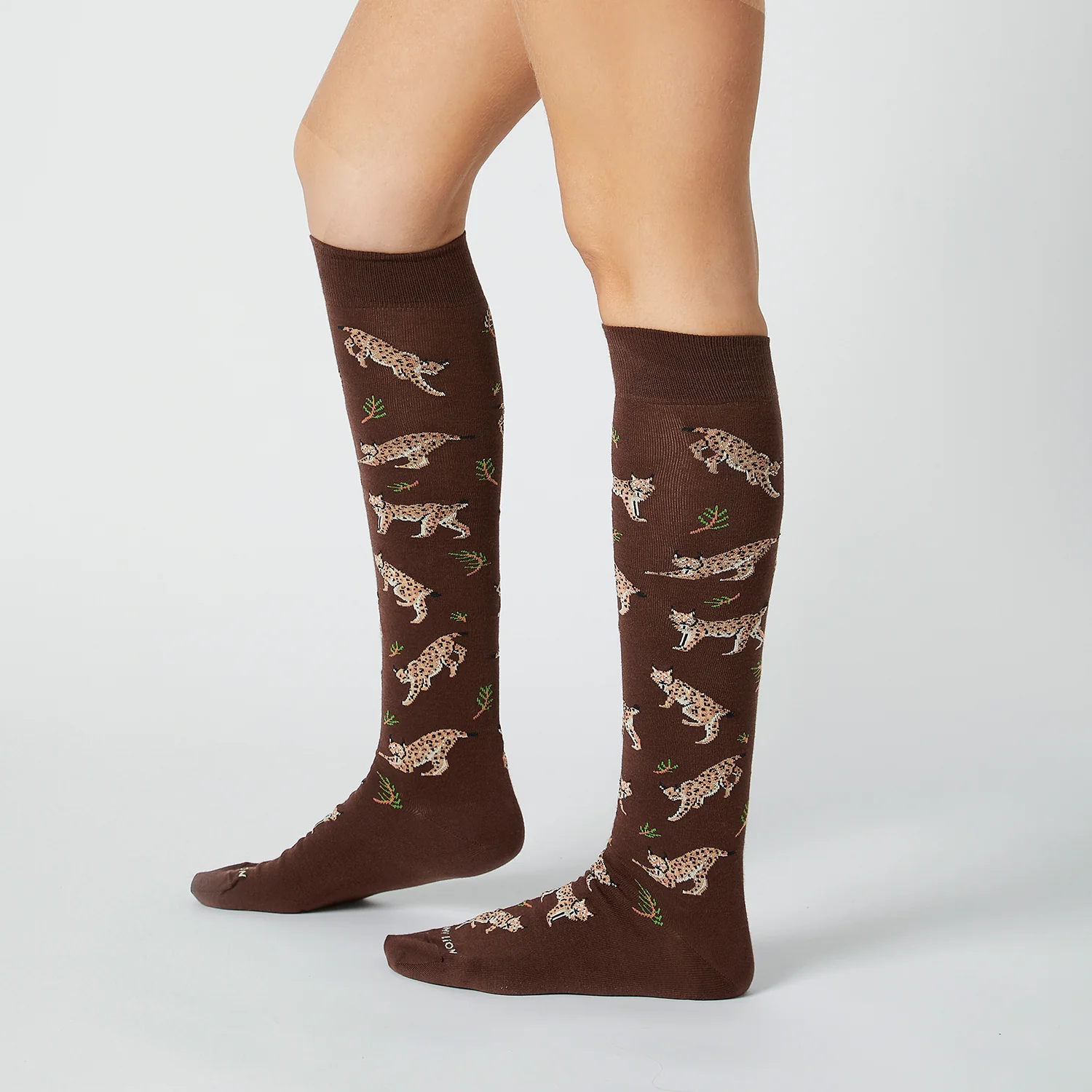 KH Lynx - Brown - Image 3