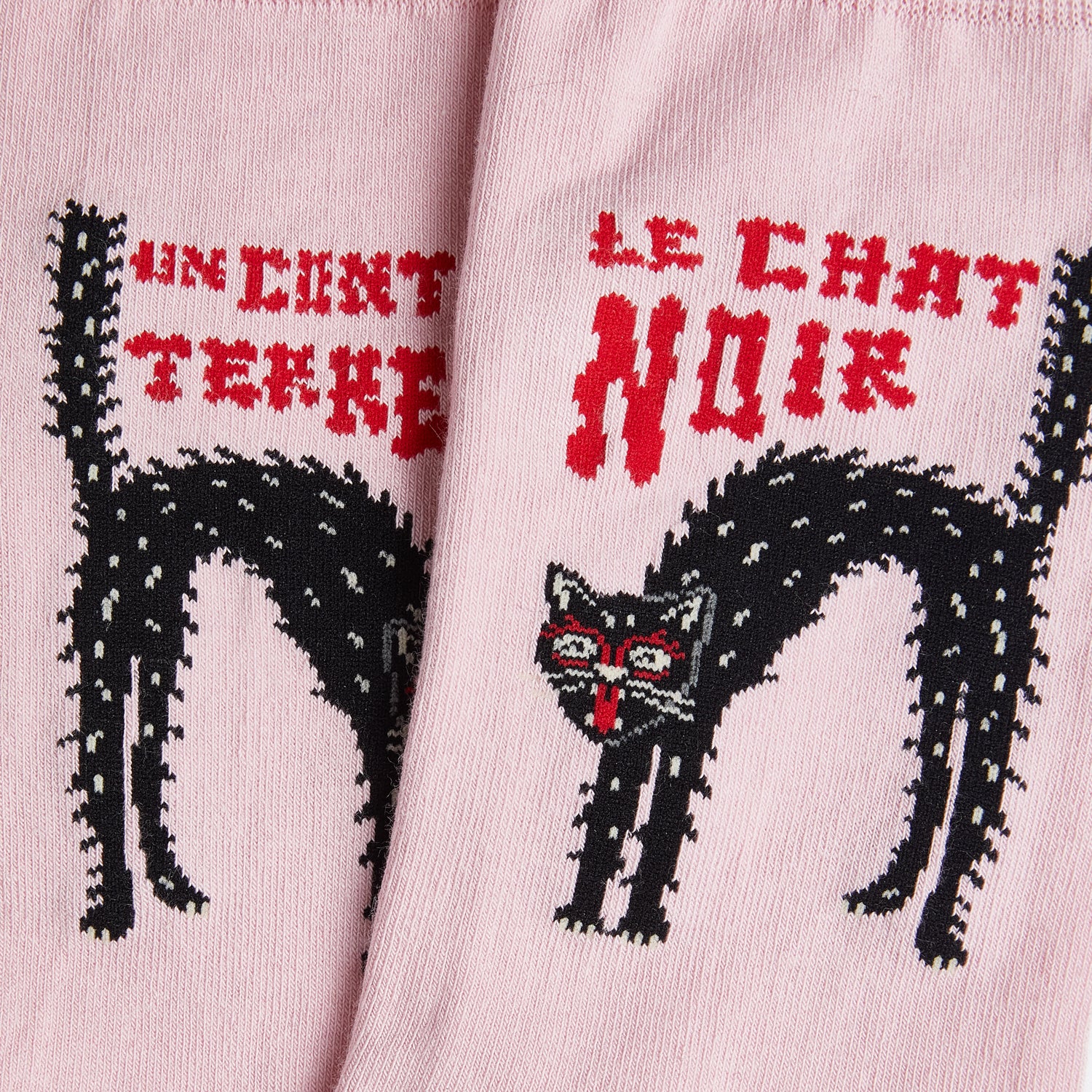 Le Chat Noir - Pink - Image 4