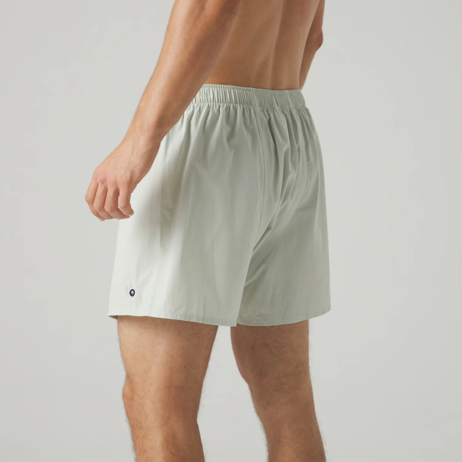 Lion Essentials Boxer Shorts - Mint - Image 3