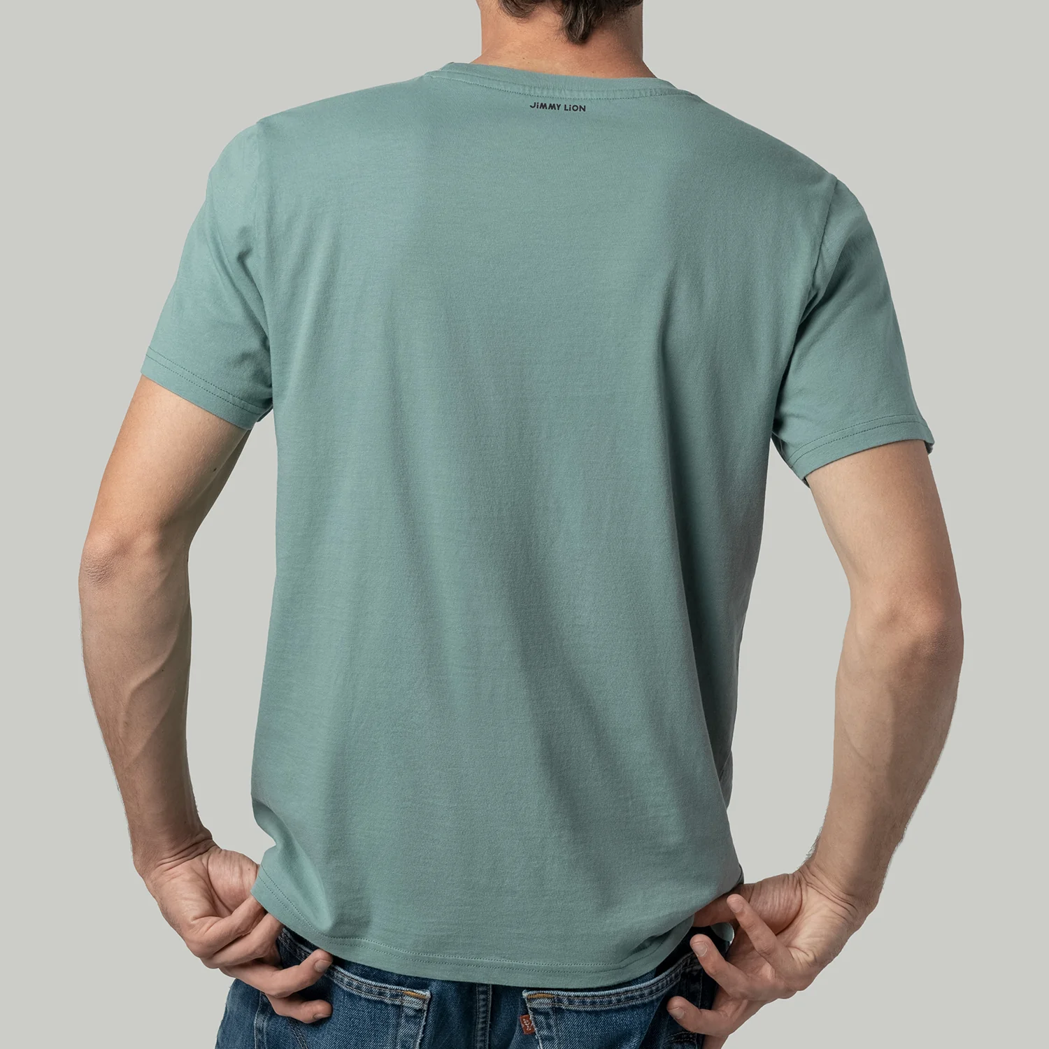 Lion Tee Essentials - Sage Green - Image 4