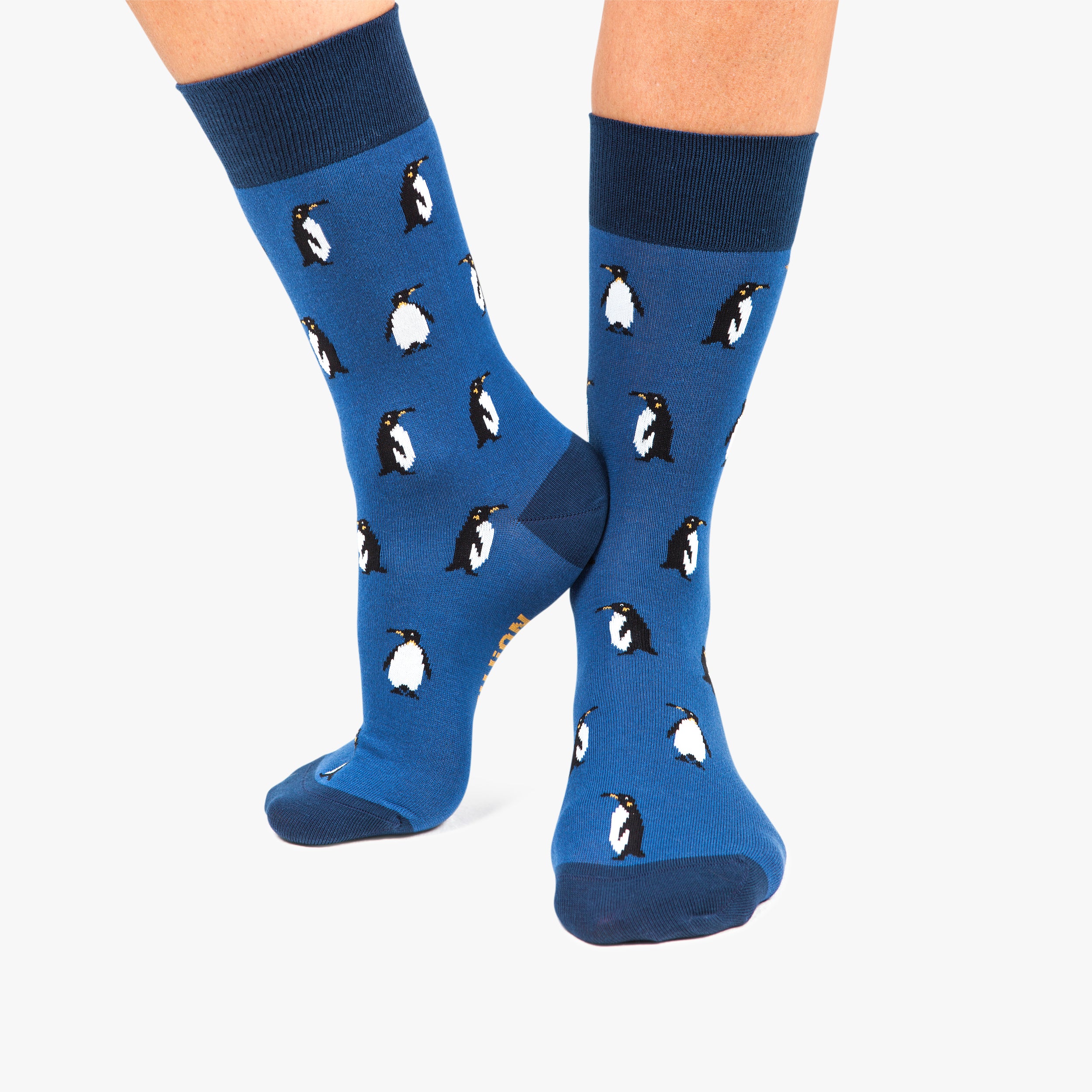 Penguins - Blue - Image 3