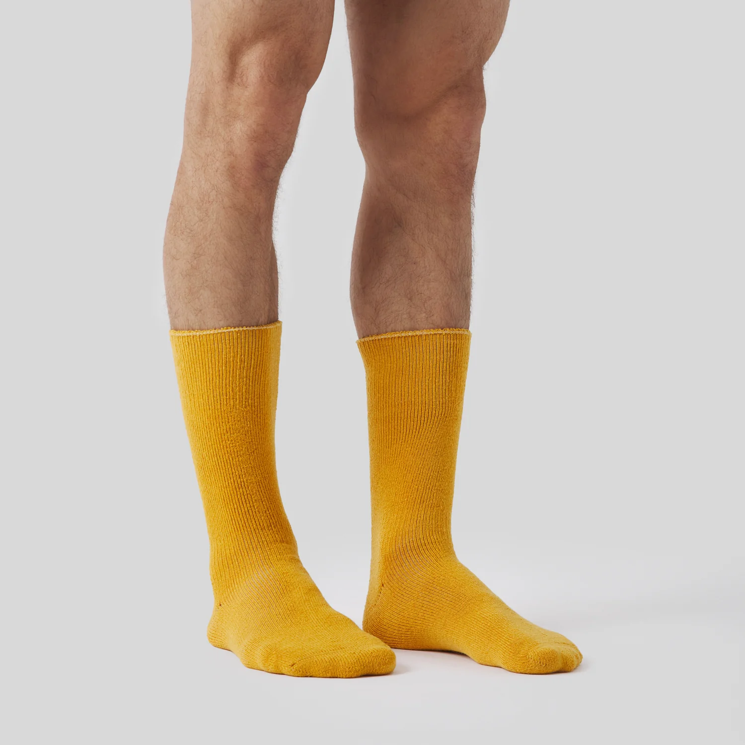 Premium Winter Wool Cash - Mustard Yellow - Image 3