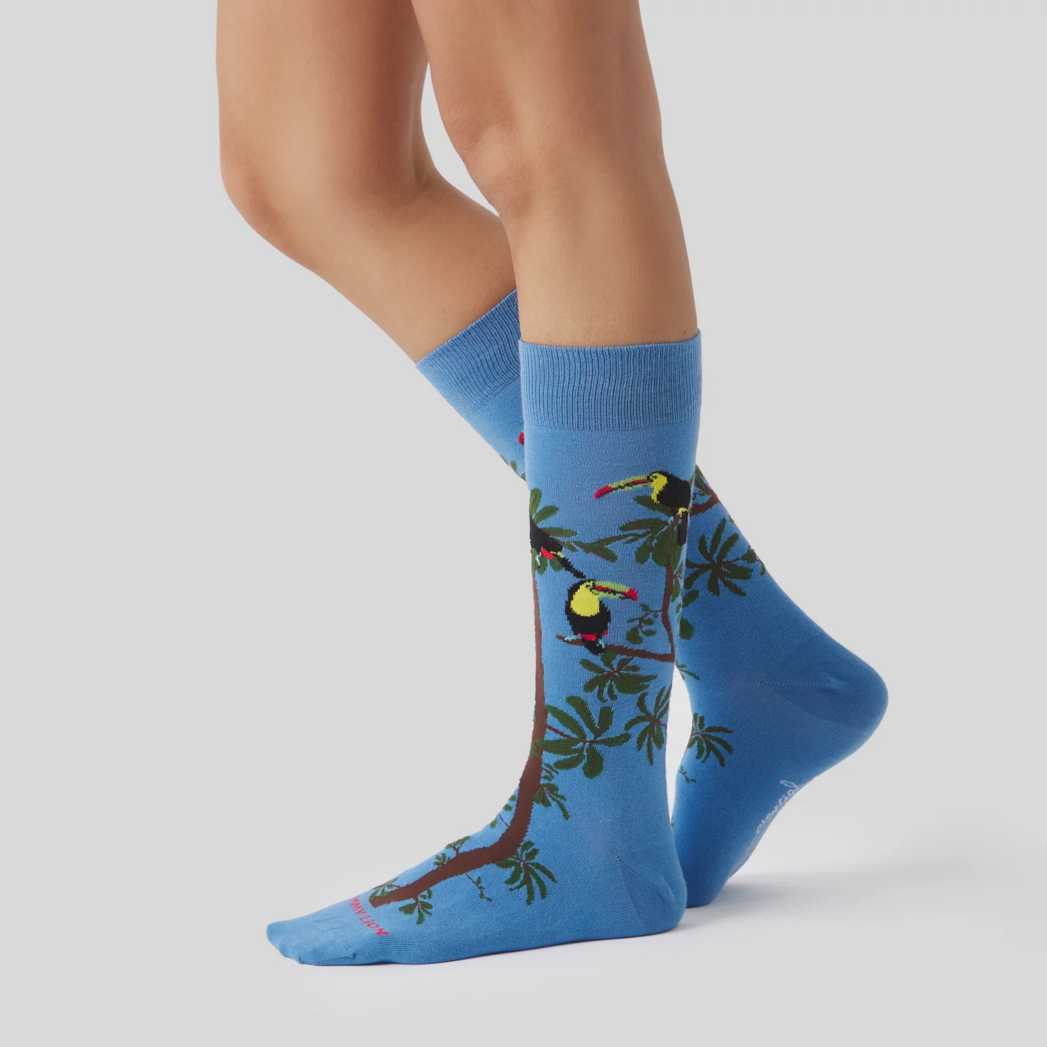 Pura Vida Rainbow Toucan - Azul Claro - Image 2