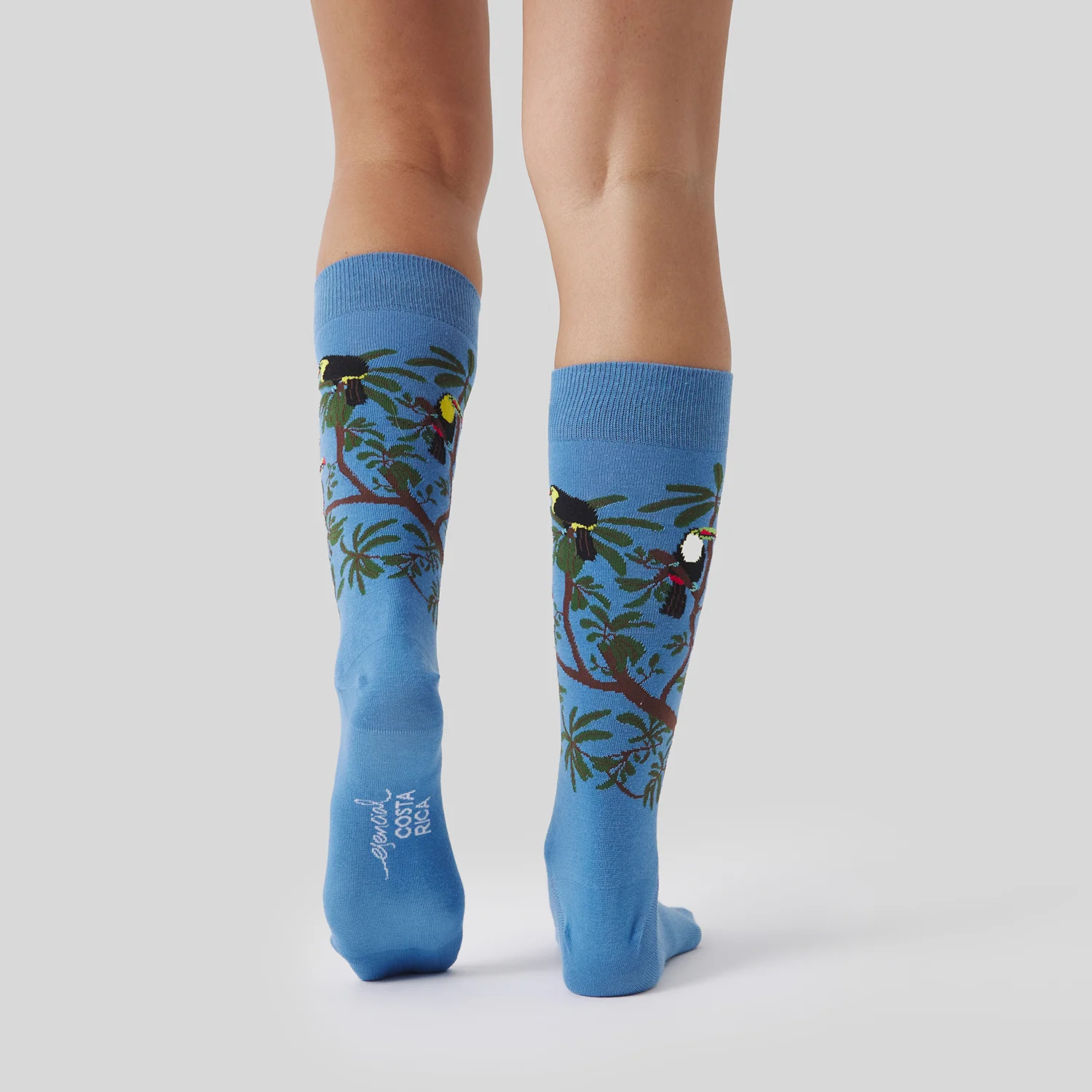 Pura Vida Rainbow Toucan - Azul Claro - Image 3