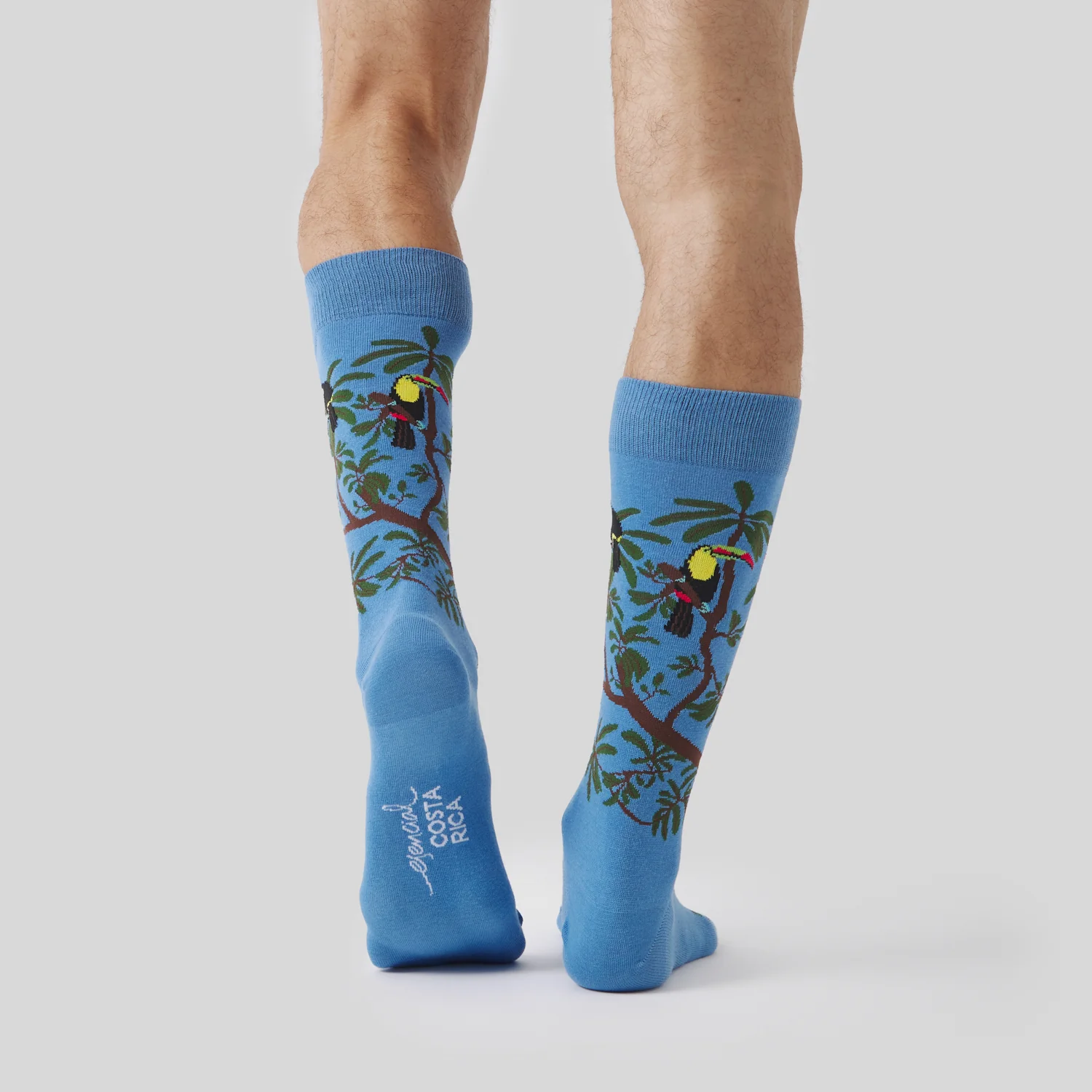 Pura Vida Rainbow Toucan - Azul Claro - Image 4