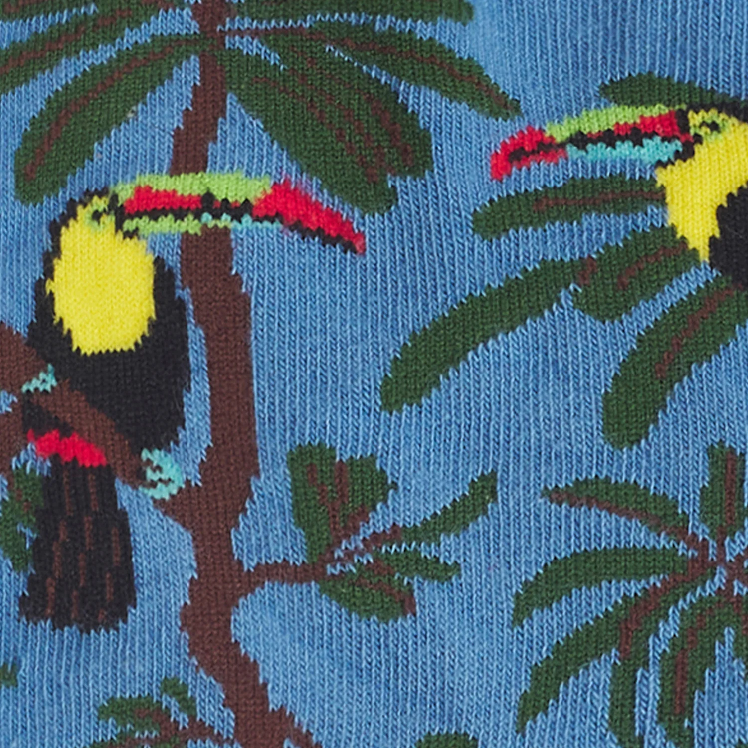 Pura Vida Rainbow Toucan - Azul Claro - Image 5