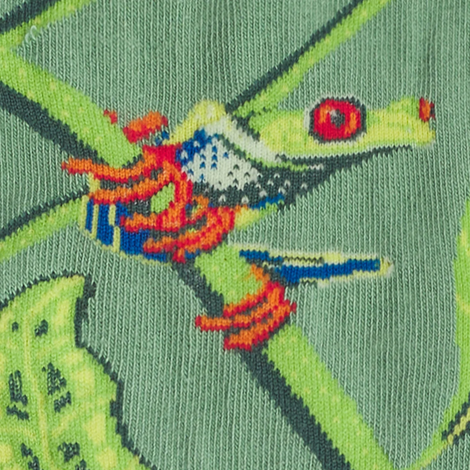 Pura Vida Red-Eyed Tree Frog - Verde - Image 6