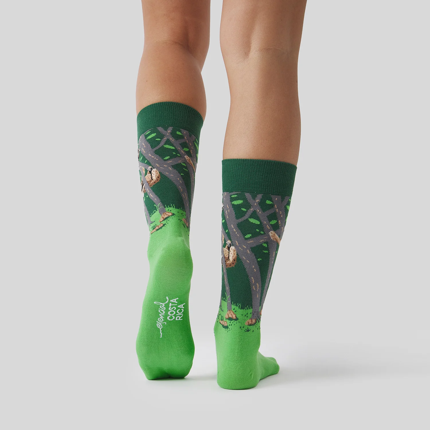 Pura Vida Sloth - Verde - Image 3
