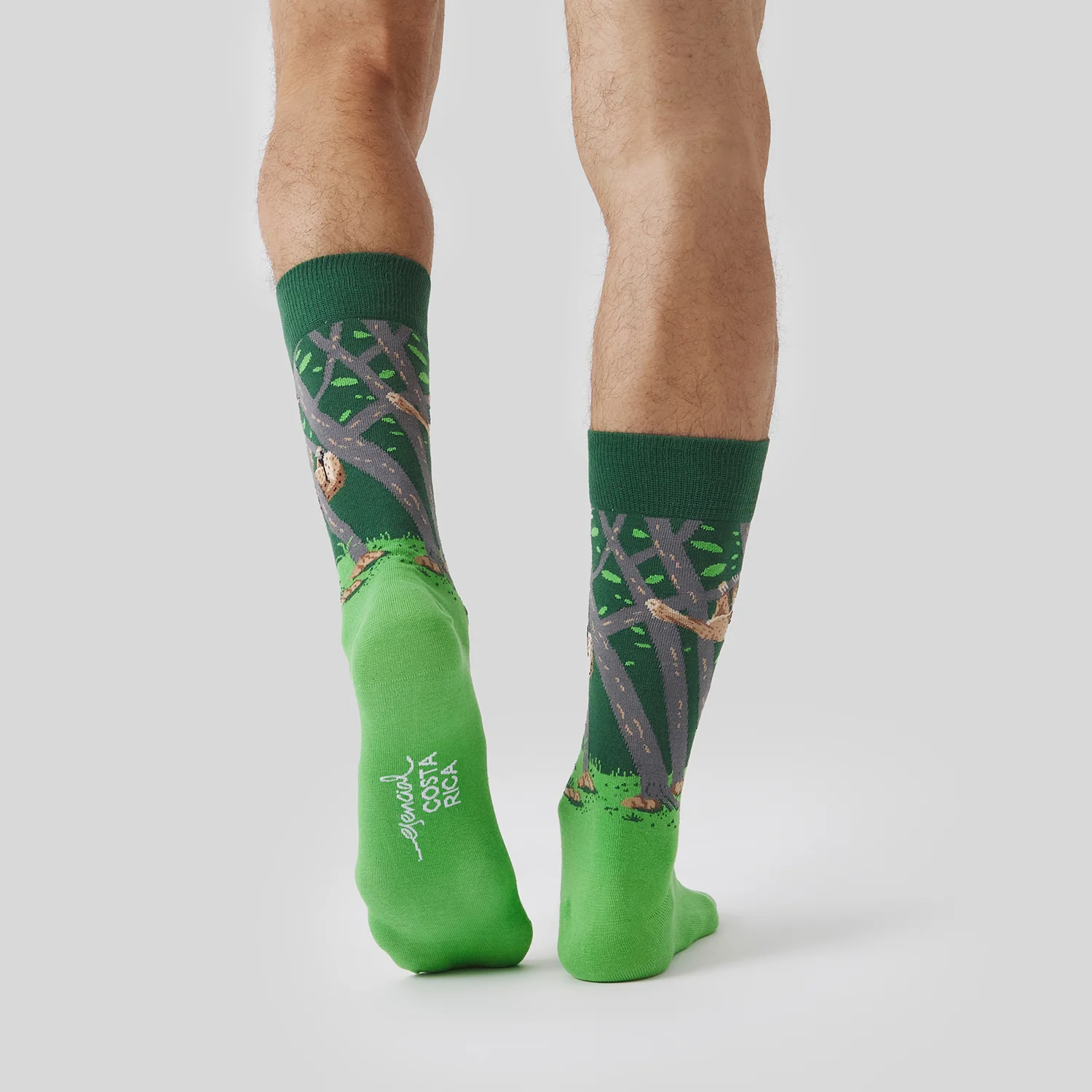 Pura Vida Sloth - Verde - Image 5