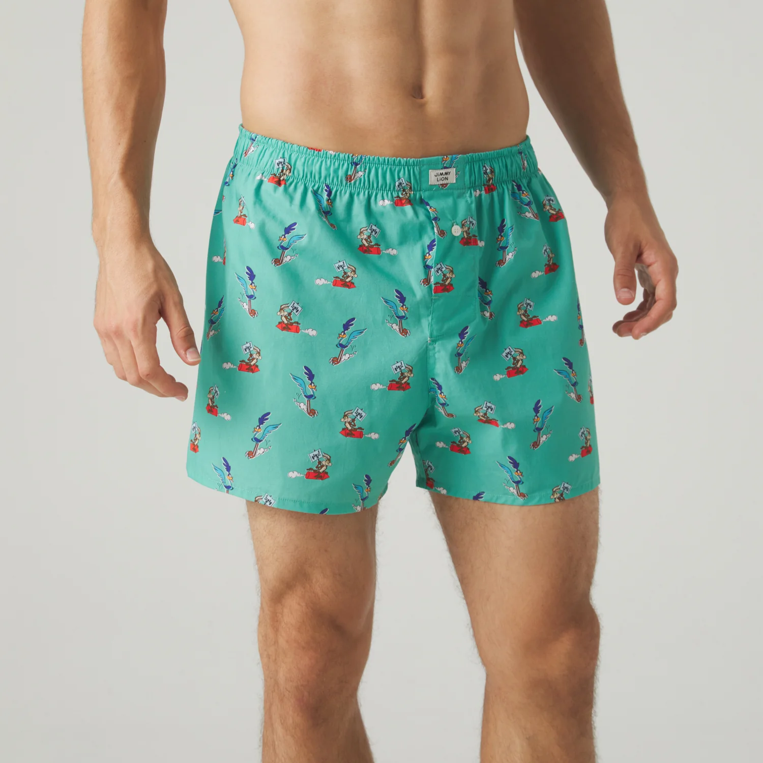 Road Runner vs Coyote Boxer Shorts - Sage Green - Image 2