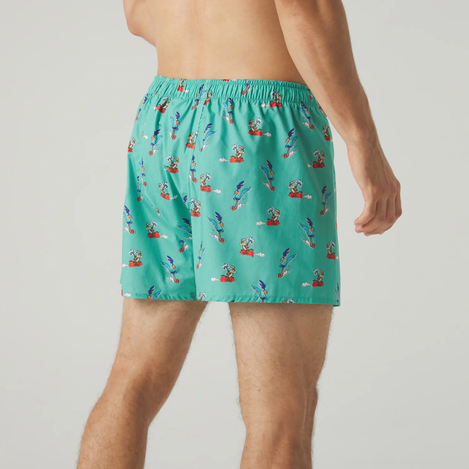 Road Runner vs Coyote Boxer Shorts - Sage Green - Image 3