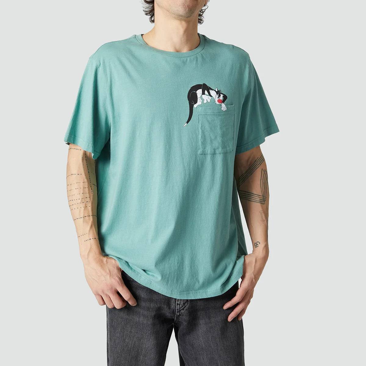 Sylvester - Sage Green - Image 3