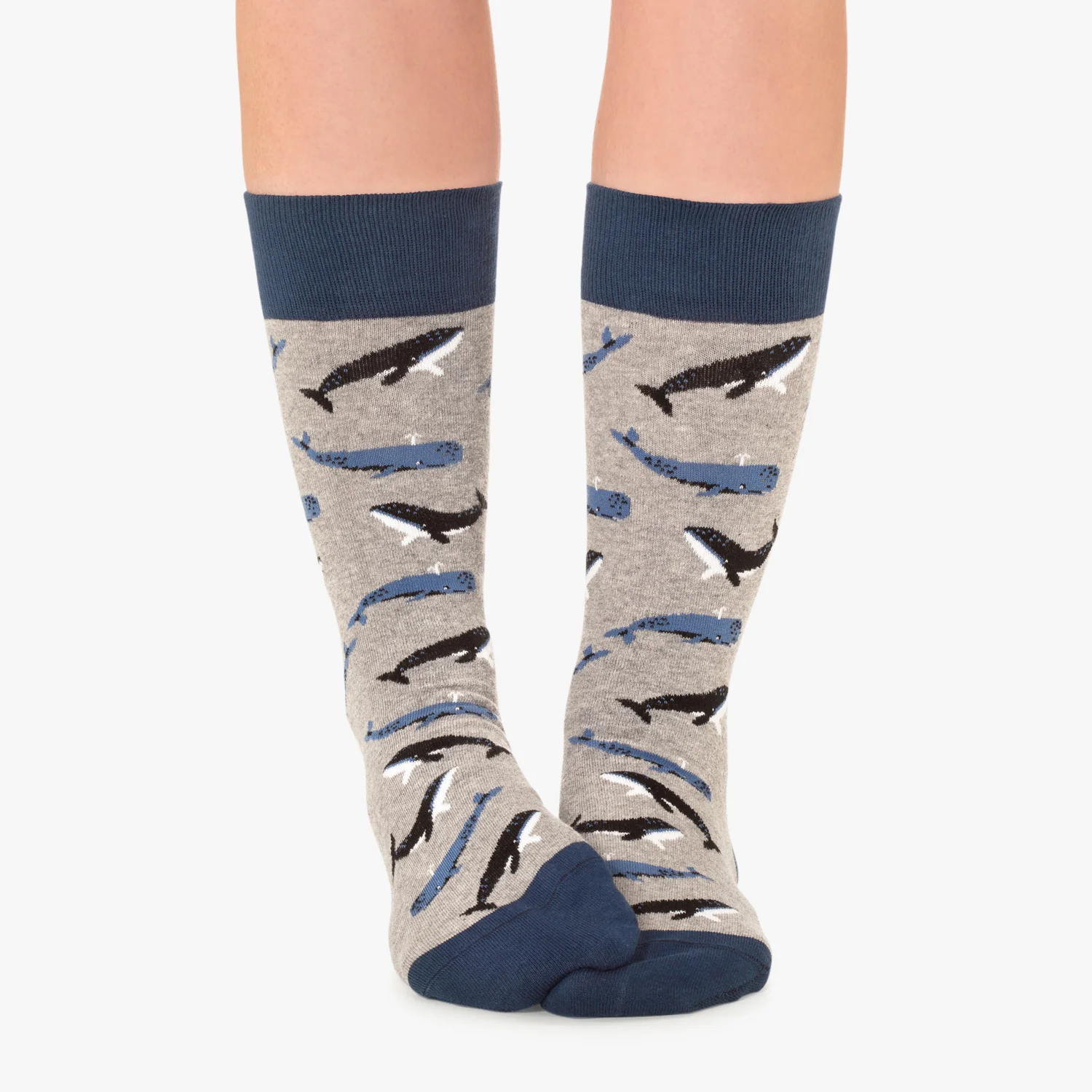 Whales - Grey - Image 3